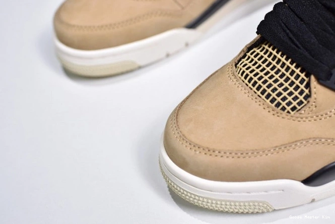 4 Air Jordan Mushroom AQ9129-200 0809